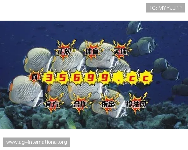 探讨BG视讯在各大平台的优惠活动和福利政策，帮助玩家最大化享受优惠的实用指南